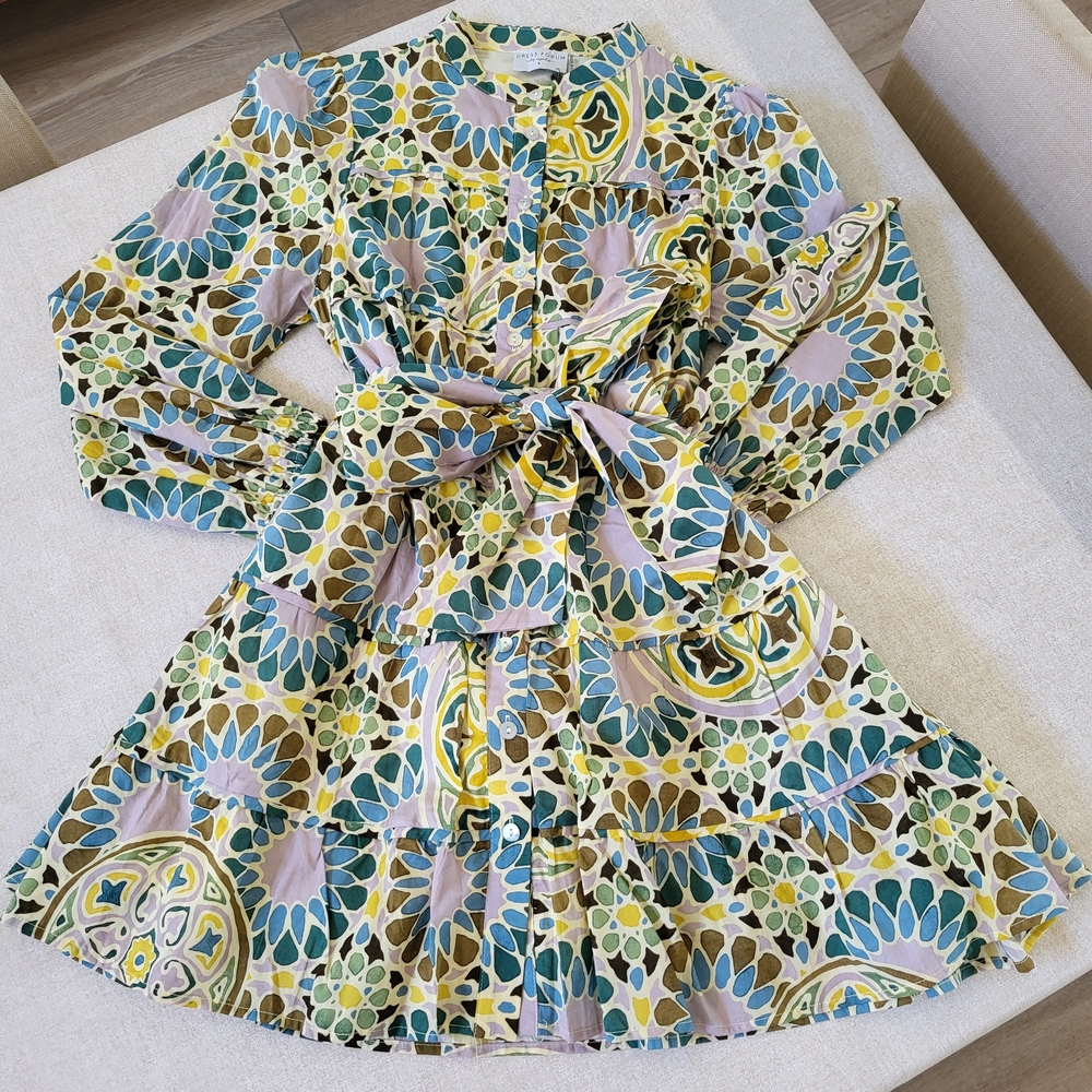 Printed Multicolor Flare Dress